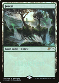 Forest (2020) (MFP-006) - MagicFest 2020 Foil