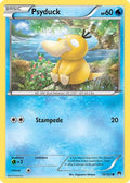 Psyduck 016  - Reverse Holofoil XY  BREAKpoint - Common