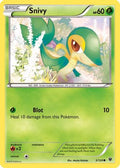 Snivy 005  - Reverse Holofoil XY  Fates Collide - Common