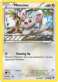 Minccino (86) (86) 086  XY  Fates Collide - Common