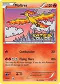 Moltres (Prerelease)  - Holofoil XY Promos - Promo
