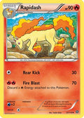 Rapidash 017  XY  Steam Siege - Uncommon