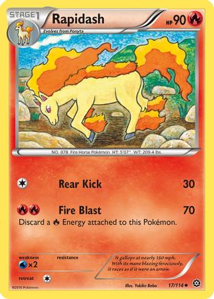 Rapidash 017  XY  Steam Siege - Uncommon