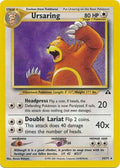 Ursaring (34) (34) 034  - Unlimited Neo Discovery - Rare