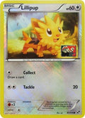 Lillipup (League Promo) 081/114  - Reverse Holofoil League & Championship Cards - Promo