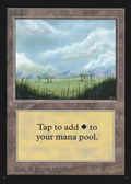 Plains (B) (CE) (CED-290) - Collectors' Edition