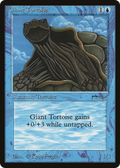 Giant Tortoise (Light) (ARN-) - Arabian Nights