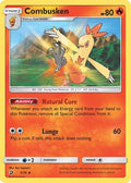 Combusken  Dragon Majesty - Uncommon