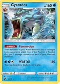 Gyarados 020  - Holofoil Dragon Majesty - Holo Rare
