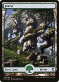 Forest (279) - Full Art (ZNR-279) - Zendikar Rising: (Full Art)
