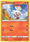 Scorbunny (Premium Collection) 031/202  - Holofoil Miscellaneous Cards & Products - Promo