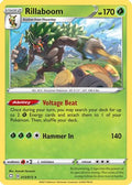 Rillaboom 013  - Holofoil Shining Fates - Holo Rare
