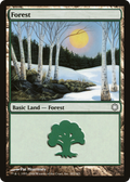 Forest (382) (CTD-382) - Coldsnap Theme Decks
