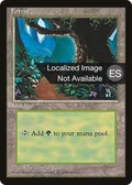 Forest (B) (4BB-175) - Fourth Edition Foreign Black Border