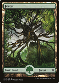 Forest (273) - Full Art (BFZ-273) - Battle for Zendikar