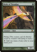 Birds of Paradise (10E-252) - Tenth Edition