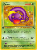 Ekans 046  - 1st Edition Fossil - Common