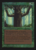 Ironroot Treefolk (IE) (IED-) - Intl. Collectors' Edition