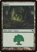 Forest (299) (SHM-299) - Shadowmoor Foil