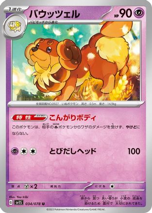 Dachsbun (034/078) - SV1S Scarlet ex