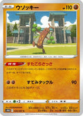 Sudowoodo (034/067) - S10D Time Gazer