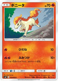 Ponyta (016/095) - SM9 Tag Bolt