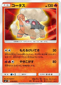 Torkoal (019/096) - SM7 SkySplitting Charisma