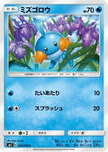 Mudkip - 022/096 (022/096) - SM7 SkySplitting Charisma