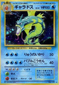 Gyarados  - Expansion Pack Holofoil