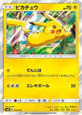 Pikachu (004/004) - SM0 Pikachus New Friends Holofoil