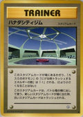 Cerulean City Gym  - Leaders Stadium