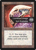 Helm of Chatzuk (FBB-) - Foreign Black Border