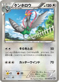 Unfezant (043/053) - BW1 Black Collection 1st Edition