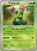 Maractus (008/053) - BW1 White Collection 1st Edition