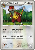 Watchog (041/053) - BW1 White Collection 1st Edition