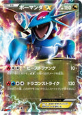 Salamence EX - 253/XY-P (253/XY-P) - XYP XY Promos Holofoil