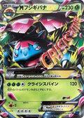 Venusaur (002/060) - XYBx Collection X 1st Edition Holofoil