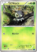 Scatterbug (006/060) - XYBx Collection X Unlimited