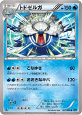 Walrein (021/080) - XY2 Wild Blaze 1st Edition