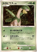 Tropius  - DP2 Secret of the Lakes Unlimited