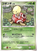 Shuckle  - DP3 Shining Darkness 1st Edition