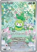 Petilil 091/086  - Holofoil SV Black Bolt - Illustration Rare