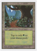 Forest (B) (2ED-) - Unlimited Edition