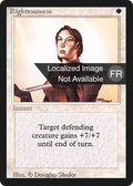 Righteousness (FBB-) - Foreign Black Border