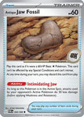 Antique Jaw Fossil 068  ME03 Perfect Order - Common