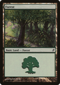 Forest (301) (LRW-301) - Lorwyn Foil