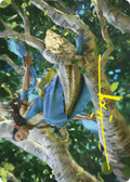 Arwen Undómiel // Arwen Undómiel (ALTR-013) - Tales of Middle-earth Art Series (Borderless)
