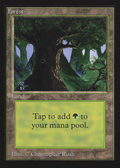 Forest (C) (IE) (IED-282) - Intl. Collectors' Edition