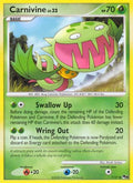 Carnivine  - Reverse Holofoil POP Series 8 - Uncommon