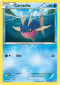 Carvanha  - Reverse Holofoil Plasma Storm - Common